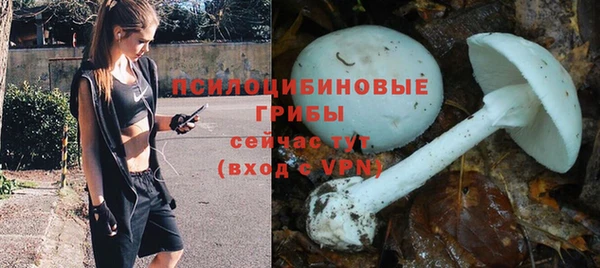 Альфа ПВП Абдулино