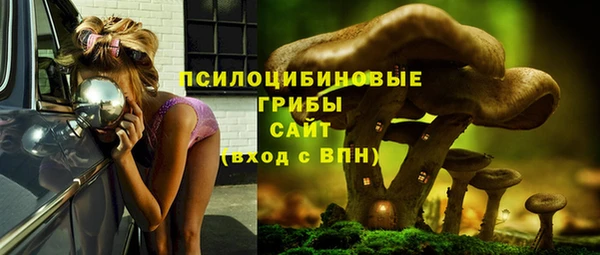 Альфа ПВП Абдулино