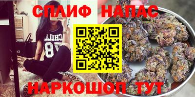 мдпв Тара
