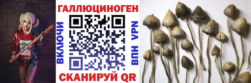 Псилоцибиновые грибы ЛСД Раменское
