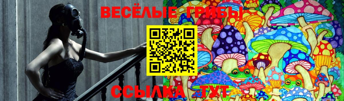 Галлюциногенные грибы мухоморы  Вход с VPN  Раменское 